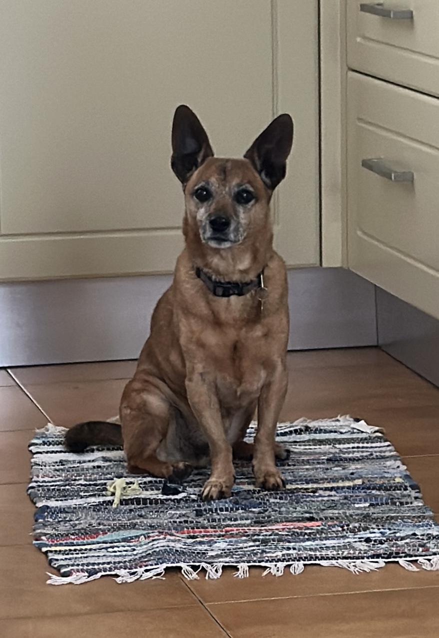 Wyler, Chief Morale Officer
